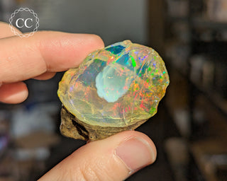 Water Opal #1