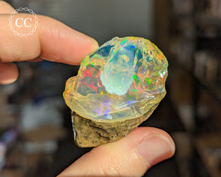 Water Opal #1