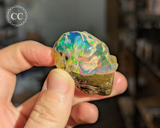 Water Opal #1