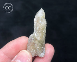 Fairy Finger Quartz #5
