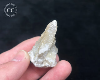Fairy Finger Quartz #8