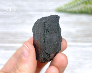 Ferberite (Wolframite) - Panasqueira Mine #12