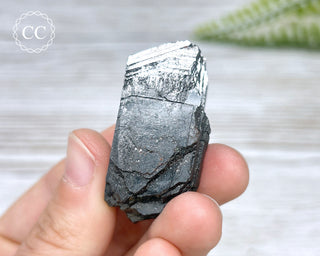 Ferberite (Wolframite) - Panasqueira Mine #12