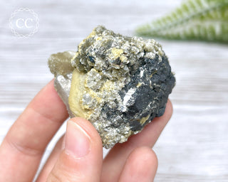 Ferberite (Wolframite) - Panasqueira Mine #18