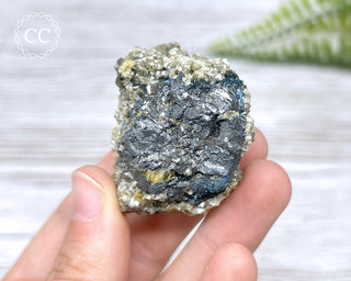 Ferberite (Wolframite) - Panasqueira Mine #18