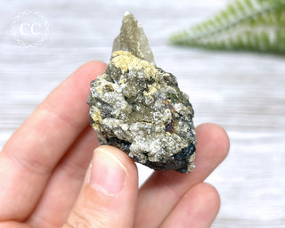 Ferberite (Wolframite) - Panasqueira Mine #18