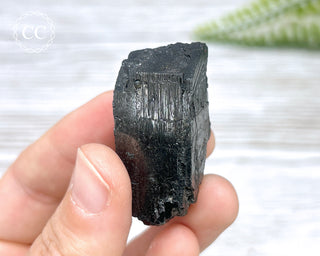 Ferberite (Wolframite) - Panasqueira Mine #12