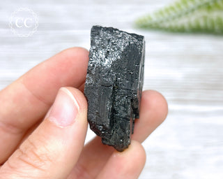 Ferberite (Wolframite) - Panasqueira Mine #12