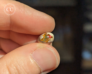 Mexican Fire Opal Cabochon #25