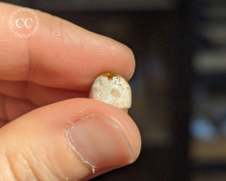 Mexican Fire Opal Cabochon #25