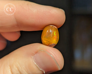 Mexican Fire Opal Cabochon #7