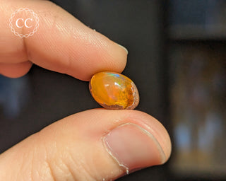 Mexican Fire Opal Cabochon #7