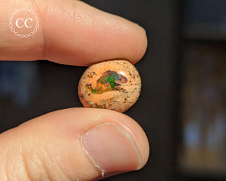 Mexican Fire Opal Cabochon #9