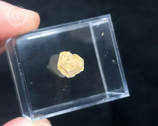 Firefly Quartz | UV Reactive Quartz #17