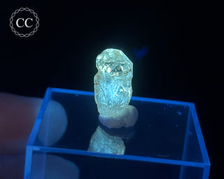 Firefly Quartz | UV Reactive Quartz #17