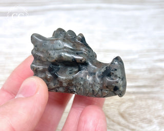 Firestone Dragon Head #5
