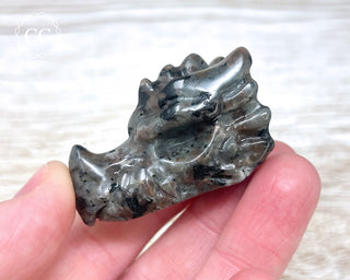 Firestone Dragon Head #5