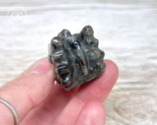 Firestone Dragon Head #5