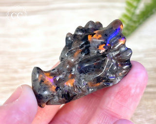 Firestone Dragon Head #5