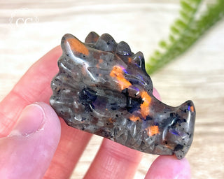 Firestone Dragon Head #5