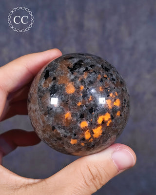 A hand holding a polished UV reactive Syenite fluorescent Sodalite sphere, also known as Firestone or Emberlite