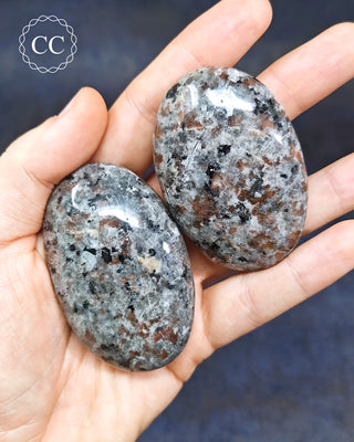 Firestone Palm Stones in hand
