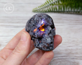 Firestone Skull #2