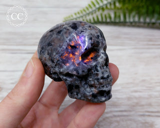 Firestone Skull #1