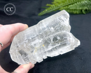 Fishtail Selenite #2
