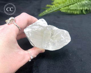 Fishtail Selenite #2