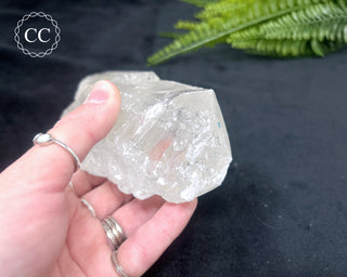 Fishtail Selenite #2