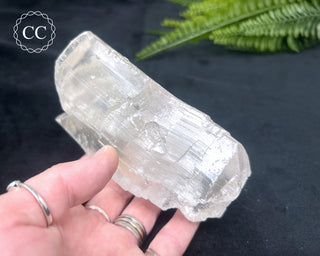 Fishtail Selenite #2