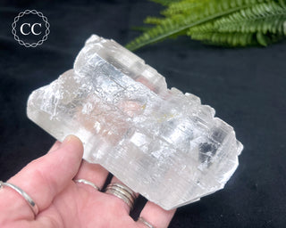 Fishtail Selenite #2