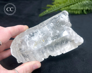 Fishtail Selenite #2
