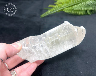 Fishtail Selenite #2