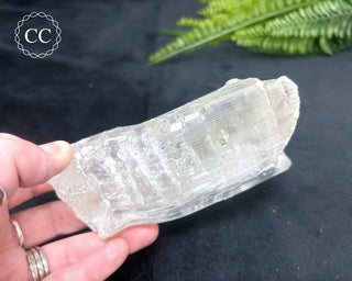 Fishtail Selenite #2