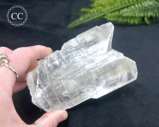 Fishtail Selenite #2
