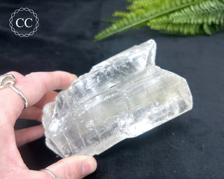 Fishtail Selenite #2