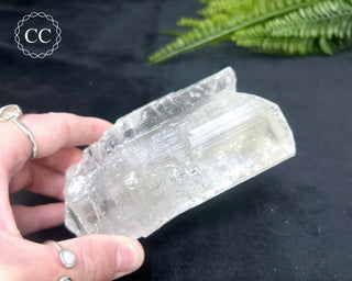Fishtail Selenite #2