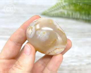 Flower Agate Chunky Palm Stone #3