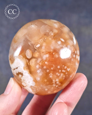 A hand holding a Flower Agate Chunky Palmstone from Madagascar