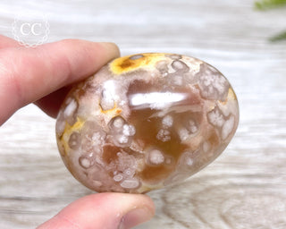 Flower Agate Chunky Palm Stone #1