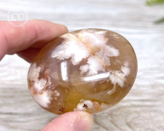 Flower Agate Chunky Palm Stone #2