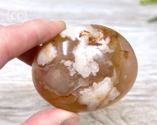 Flower Agate Chunky Palm Stone #2