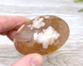 Flower Agate Chunky Palm Stone #2