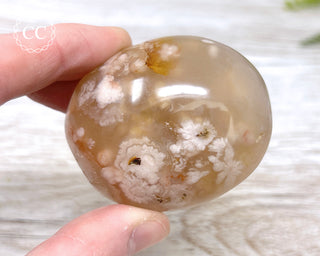Flower Agate Chunky Palm Stone #3