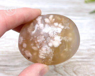 Flower Agate Chunky Palm Stone #3