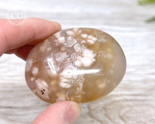 Flower Agate Chunky Palm Stone #3