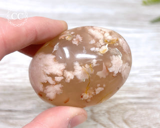 Flower Agate Chunky Palm Stone #4