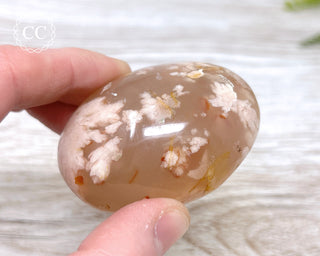 Flower Agate Chunky Palm Stone #4